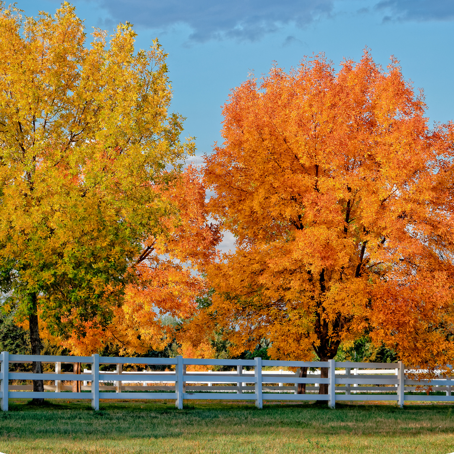 Washtenaw Market Following Seasonal Trends