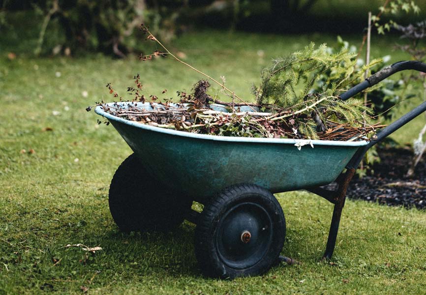 11 Ways to Prepare Your Garden for Spring