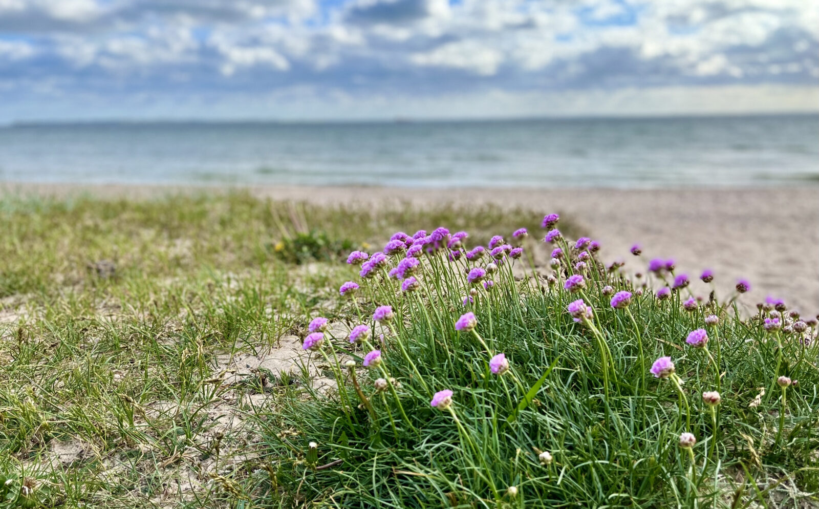 Inland Lake & River Beaches in Southeast and Northwest Michigan - Blog