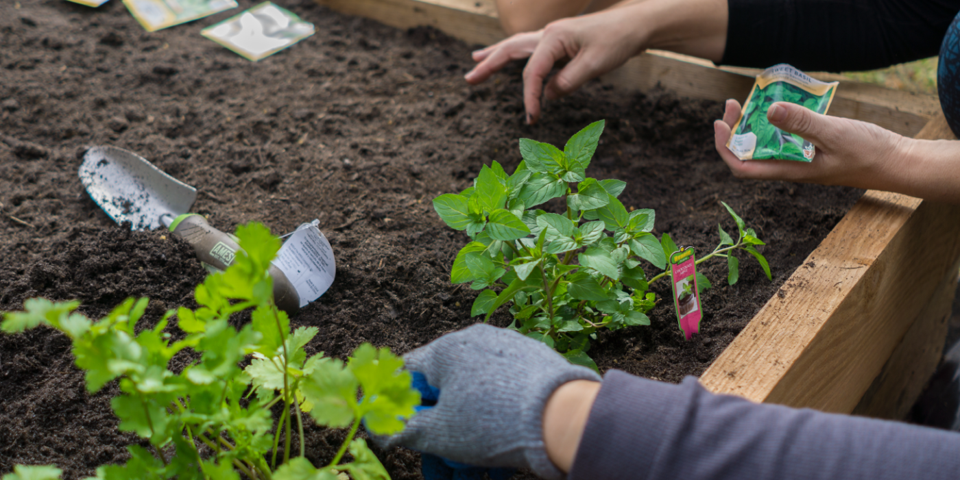 3 Life Hacks to Protect Your Veggie Garden