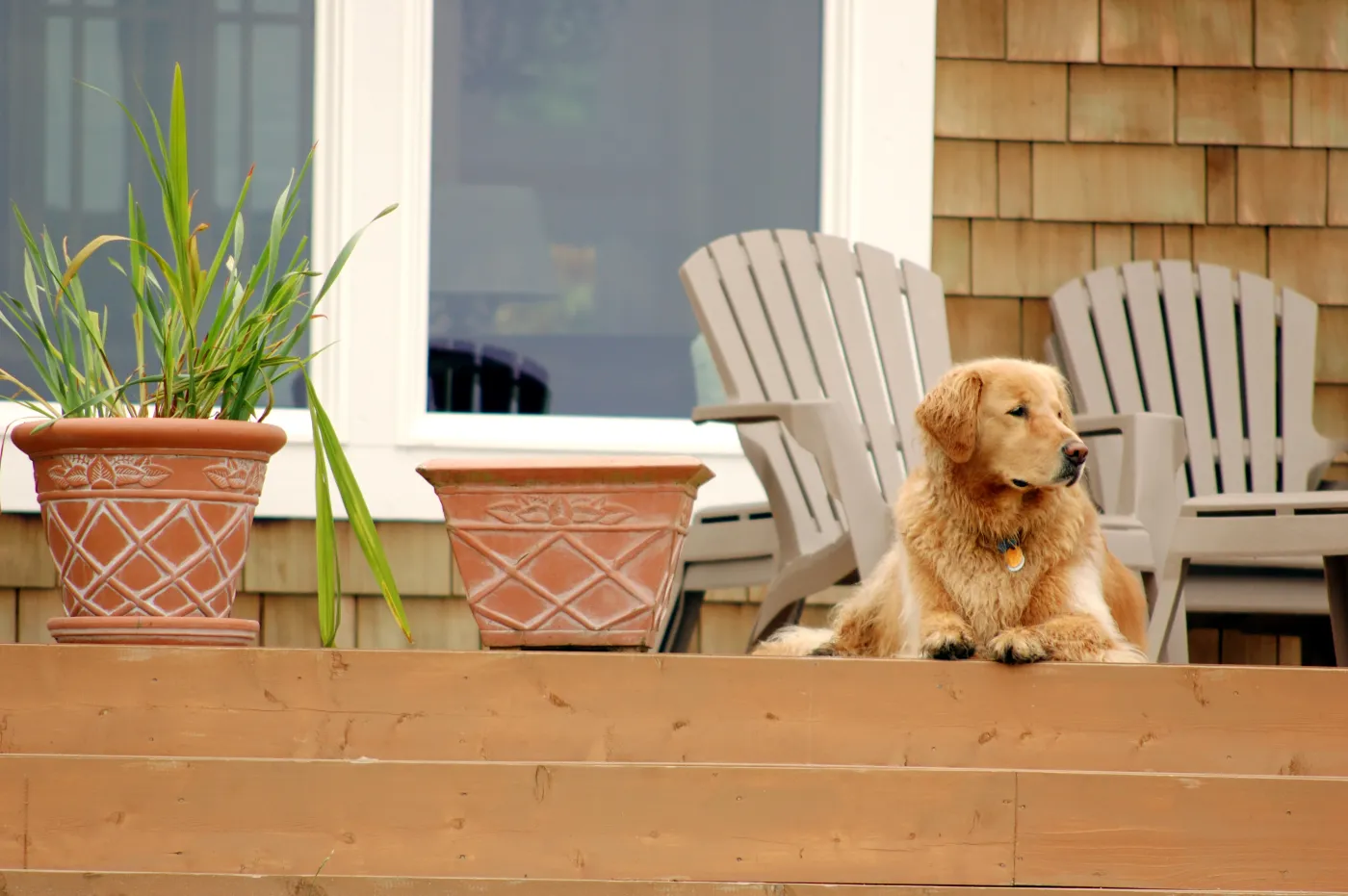 Get a “Deck Lift” with These Trendy, Easy-to-Use Tiles