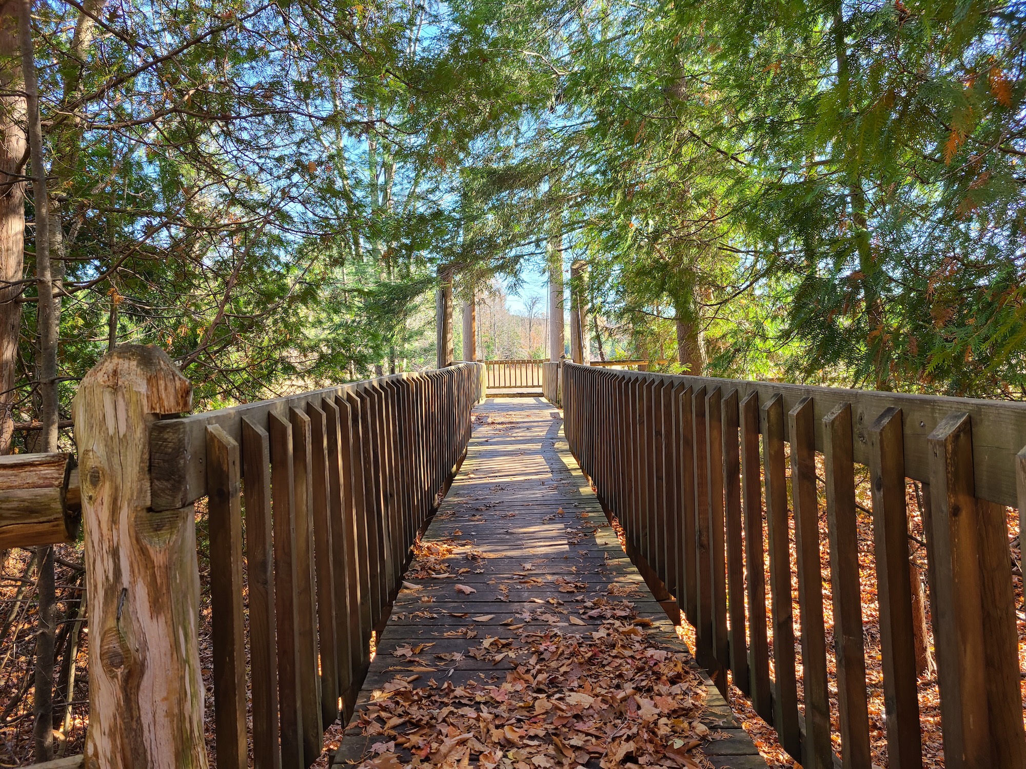 The Everyday Benefits of Spending More Time Outside (and How to Make It Happen)